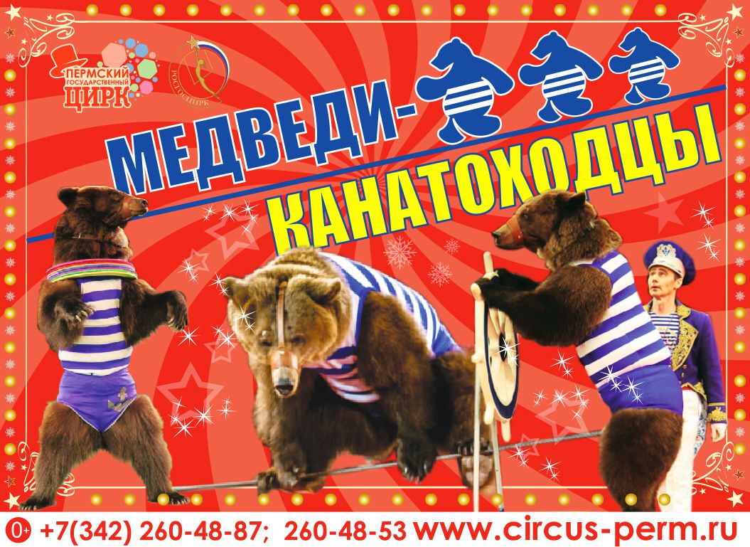 В пермском цирке покажут уникальный российский аттракцион «Медведи-канатоходцы»