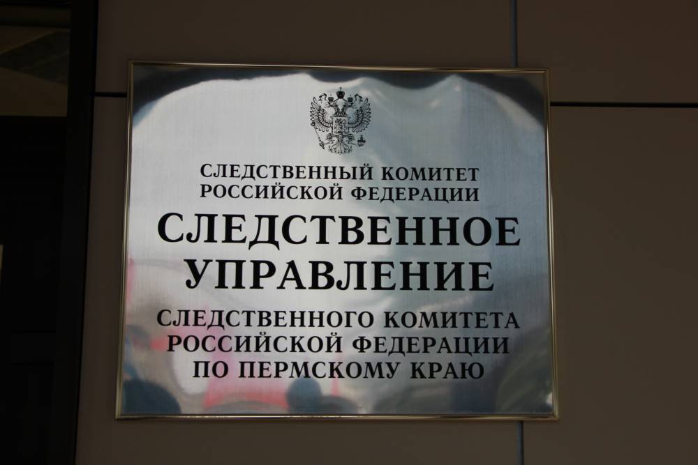 В Пермском крае возбуждено уголовное дело после обнаружения тела 12-летней сироты