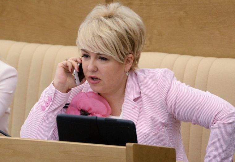 «Это политическая провокация»: депутат Госдумы утверждает, что не уравнивала уголовников и малоимущих
