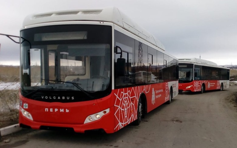 Депутаты гордумы одобрили изменения о бесплатных пересадках в общественном транспорте Перми