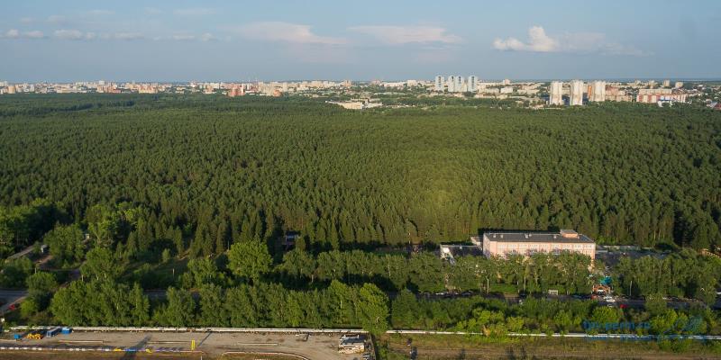 В Прикамье появится система «Умный лес»