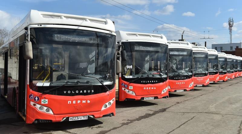 Пермь перейдет на новую транспортную модель в марте-апреле 2020 года