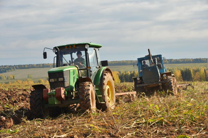 Неурожайный год. В Прикамье сельхозпроизводители оказались на грани разорения