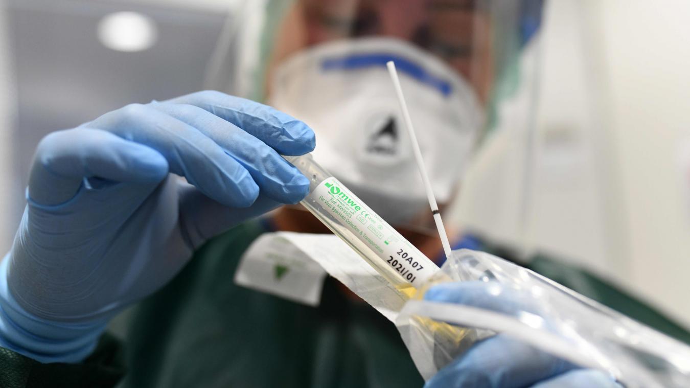 В Прикамье за сутки выявили 29 новых случаев заболевания коронавирусной инфекцией
