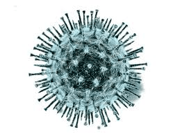 Минздрав Прикамья проанализировал заболеваемость коронавирусом детей и подростков