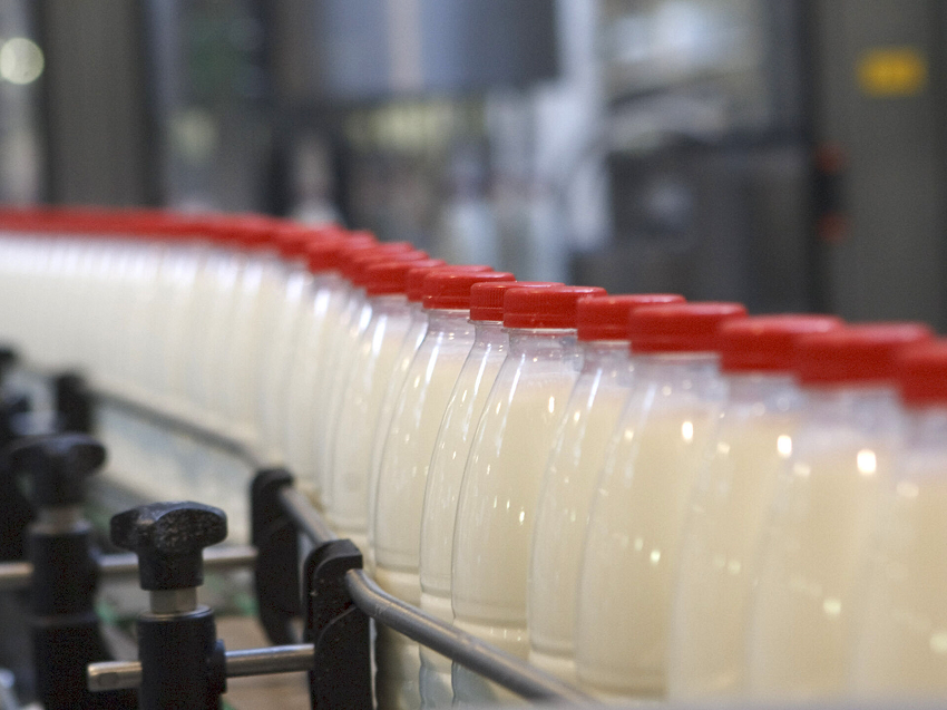 В Перми на месте бывшего пивоваренного завода открыли молочный комбинат