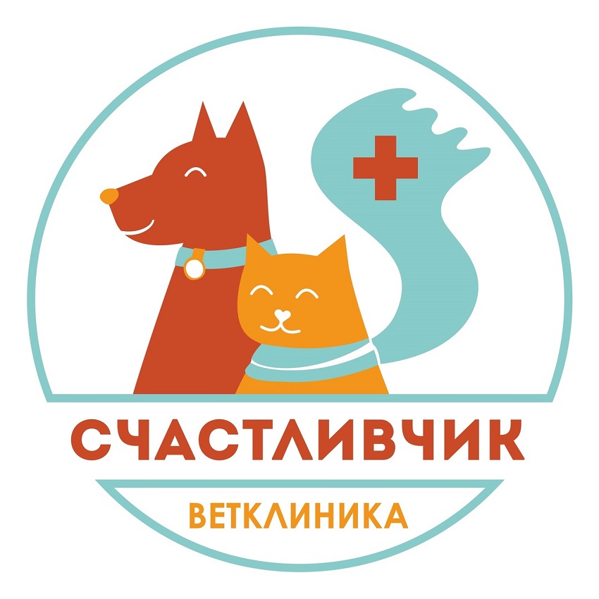 В Перми закрывается социальная клиника для бездомных кошек, работавшая за счет грантов от президента