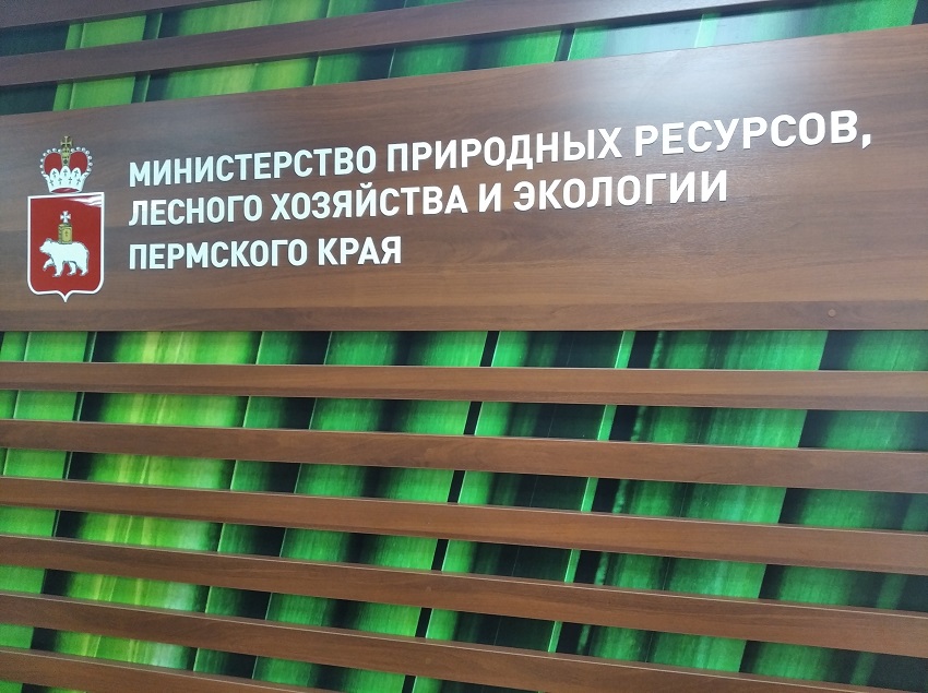 Замминистра природных ресурсов Пермского края уволилась, чтобы стать судьей
