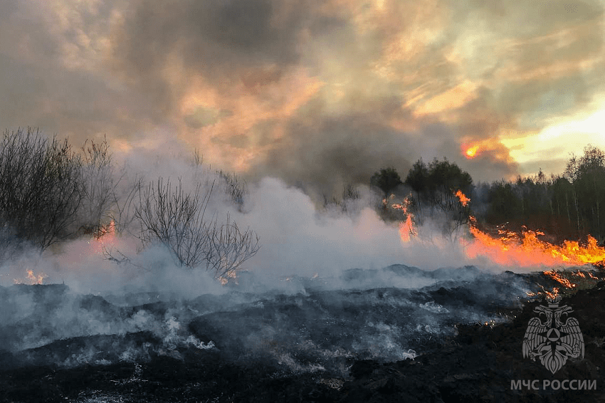 Из-за жары в 19 территориях Пермского края объявлен особый противопожарный режим