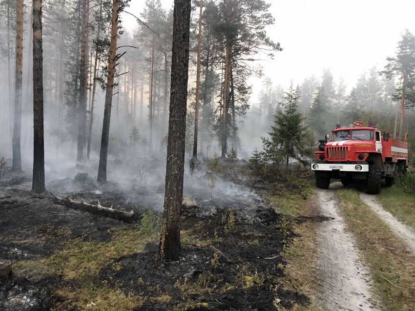 В Пермском крае смогут прогнозировать лесные пожары с помощью ИИ и космических снимков