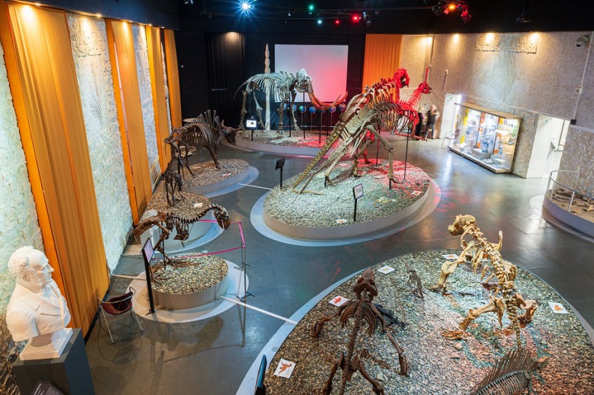 В Перми могут построить палеонтологический музей