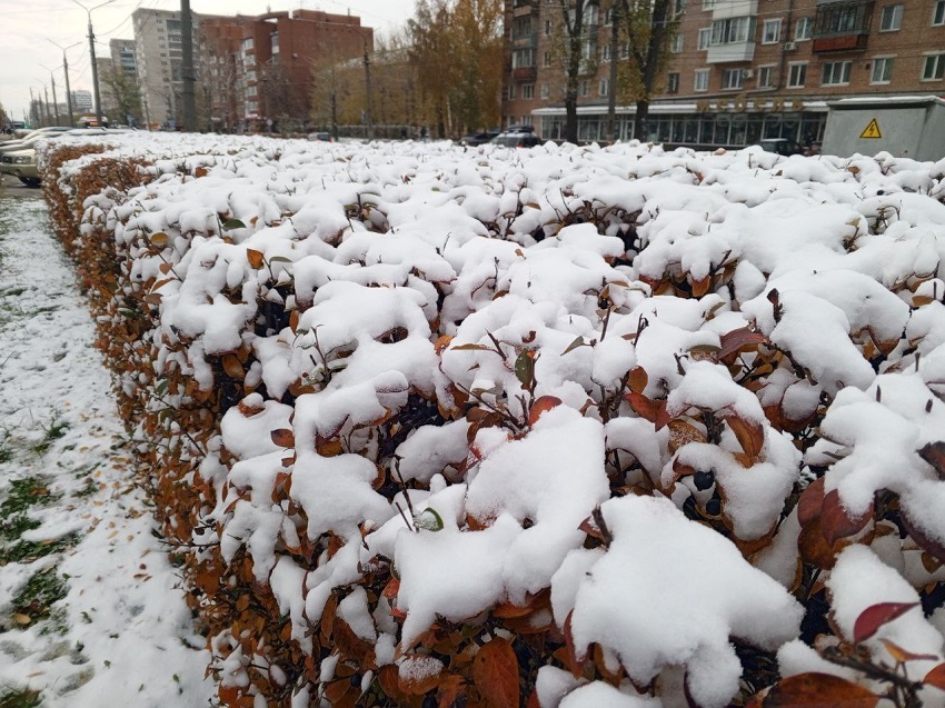 10 и 11 декабря в Прикамье ожидается потепление до -4 градусов и интенсивные снегопады