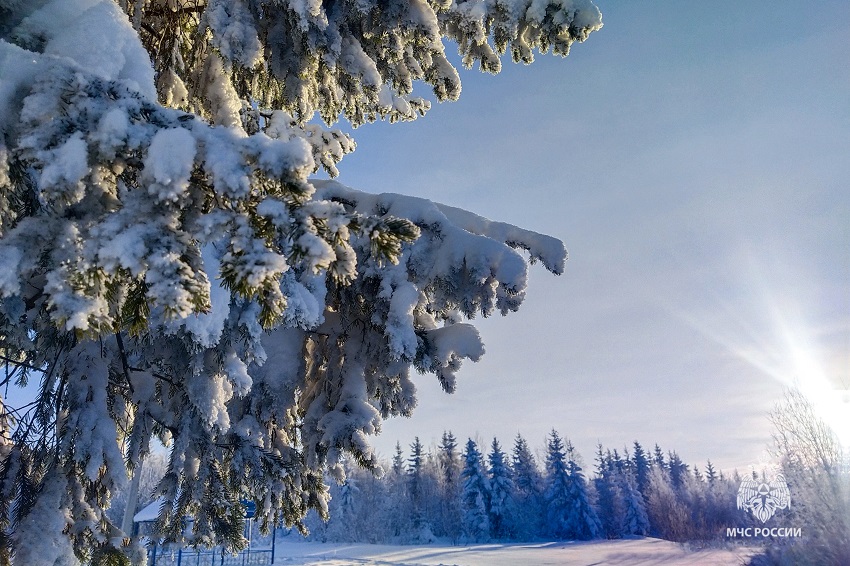 «Народный синоптик» Шихов: в Перми ниже -30°С за эту зиму больше не будет