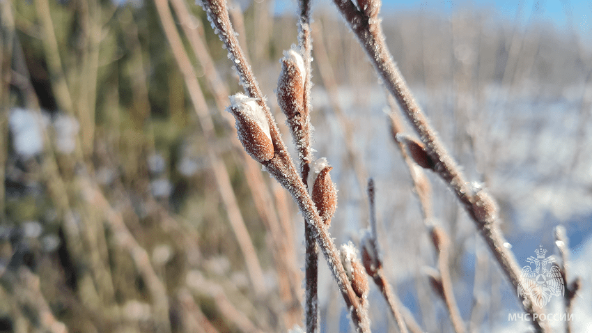 ПГНИУ: с 25 февраля в Прикамье будут наблюдаться первые признаки весны 