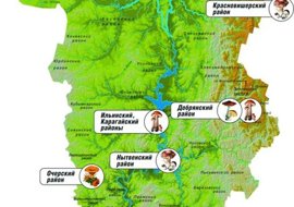 В Прикамье создали карту грибных мест