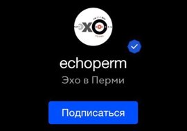«Эхо Перми»  представляет мобильный сервис онлайн-голосований Slant